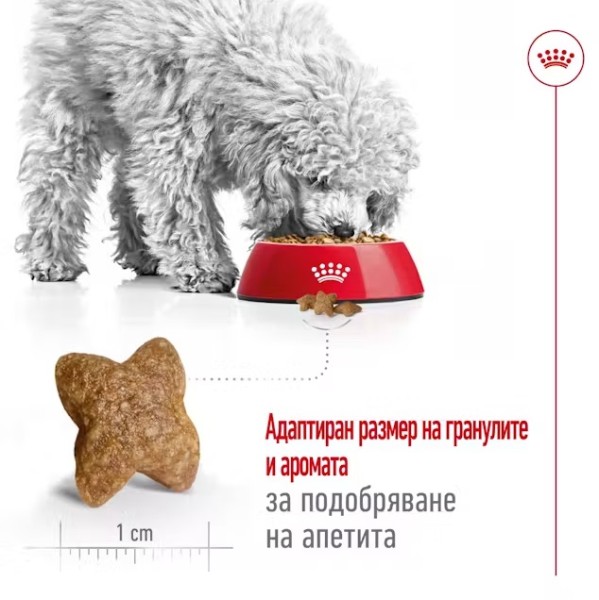 Royal Canin Dog Adult Mini - Пълноценна суха храна за кучета от дребни породи от 10 месеца до 8 години